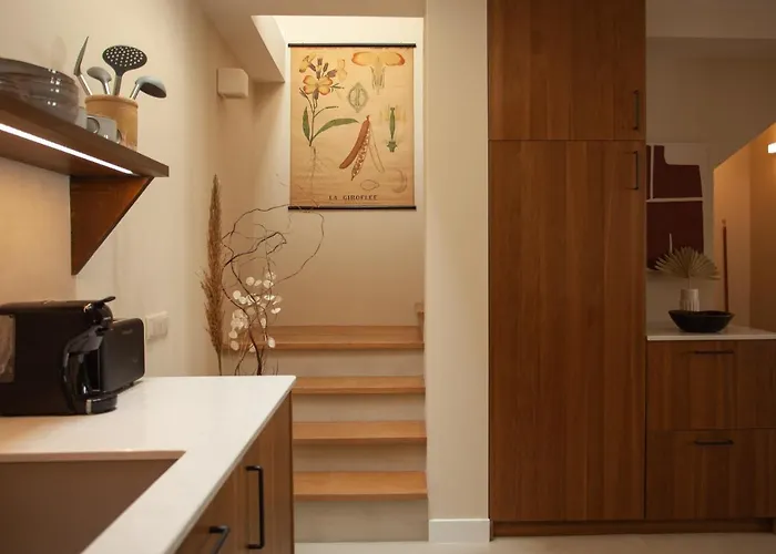 Rodrigues Guest house